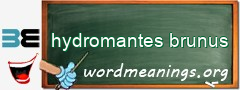 WordMeaning blackboard for hydromantes brunus